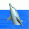 Avatar von delfin