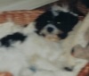Avatar von DiMucci